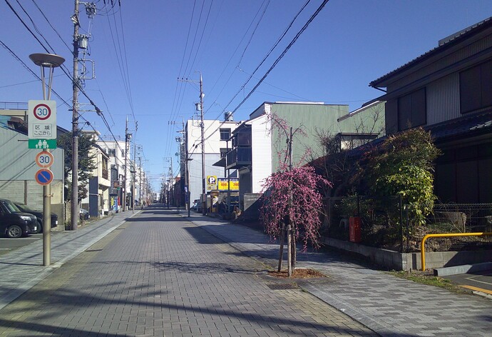 新たにネーミングライツを導入しました（ネーミングライツ導入状況）