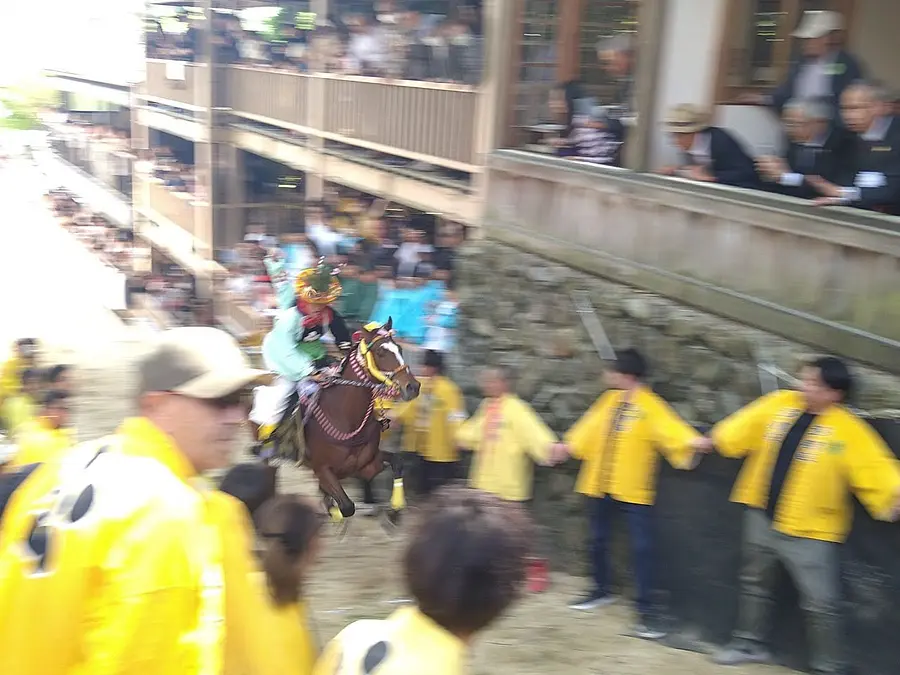 【多度大社】 上げ馬神事
