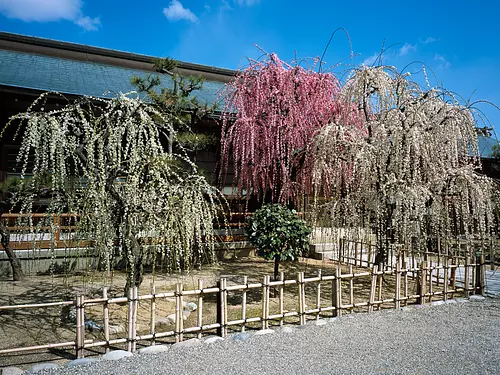 【結城神社】 初えびす祭
