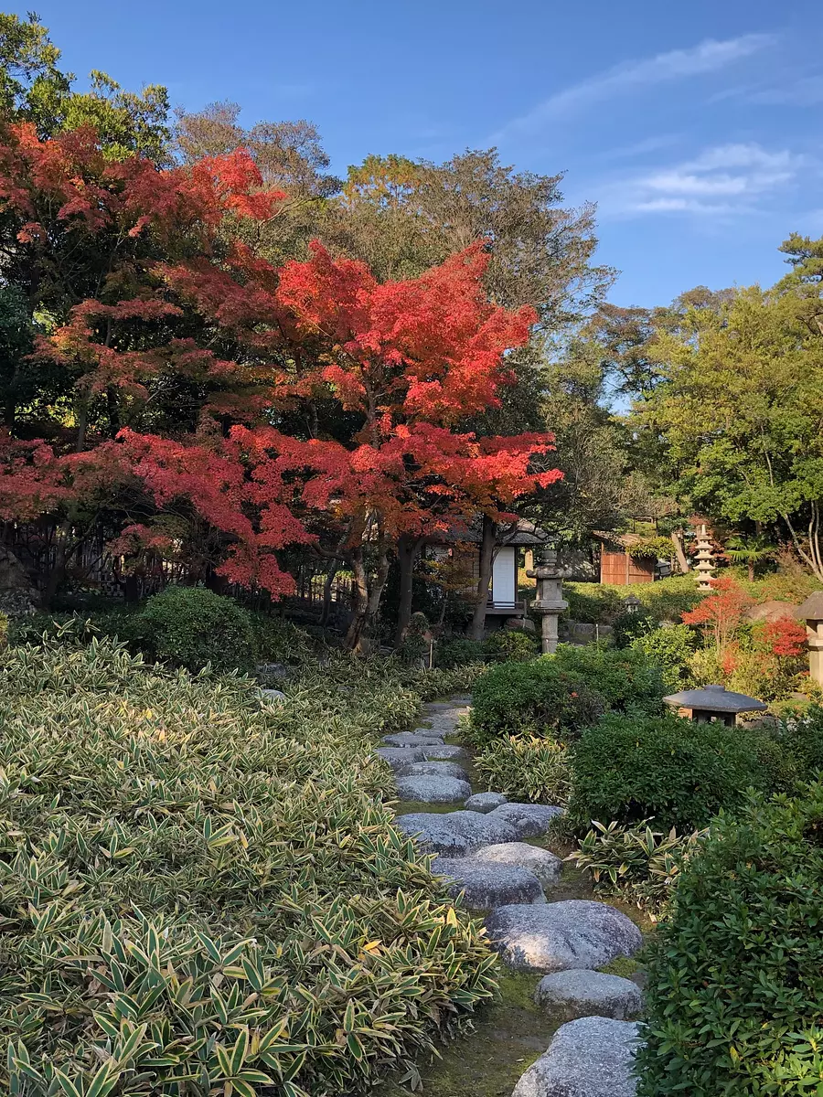 【諸戸氏庭園】秋の一般公開