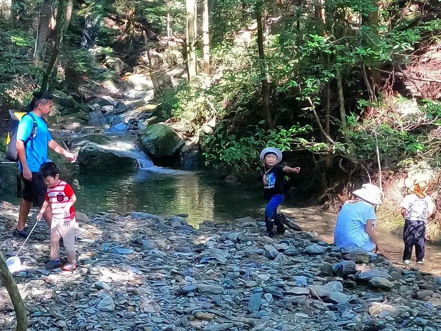 【大杉谷自然学校】おおだい森のようちえん