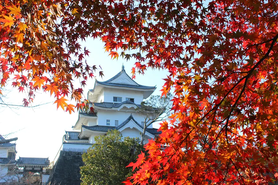 上野公園の紅葉