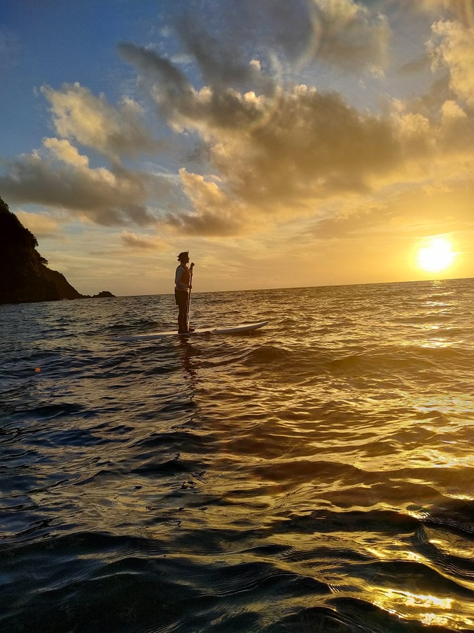 企画検査課長代理あいさつ（令和8年3月コラム）